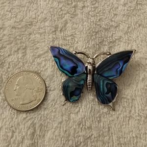 Beautiful butterfly pin